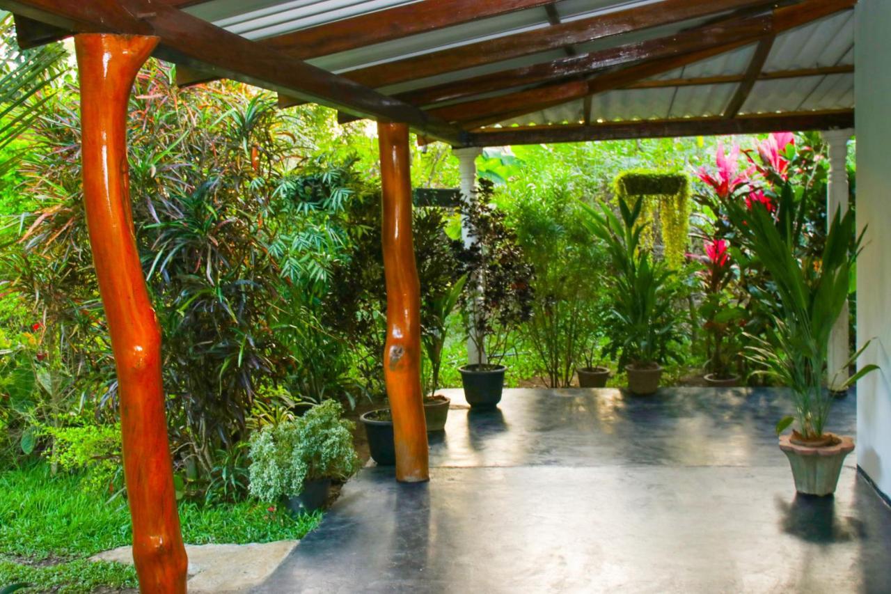 Sigiri Sandilu Homestay Sigiriya Exterior foto