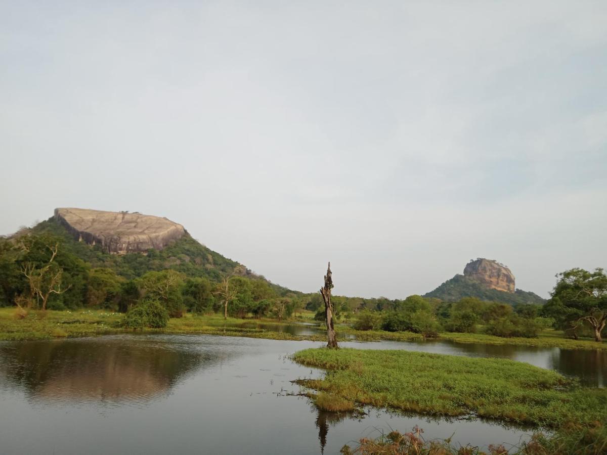 Sigiri Sandilu Homestay Sigiriya Exterior foto