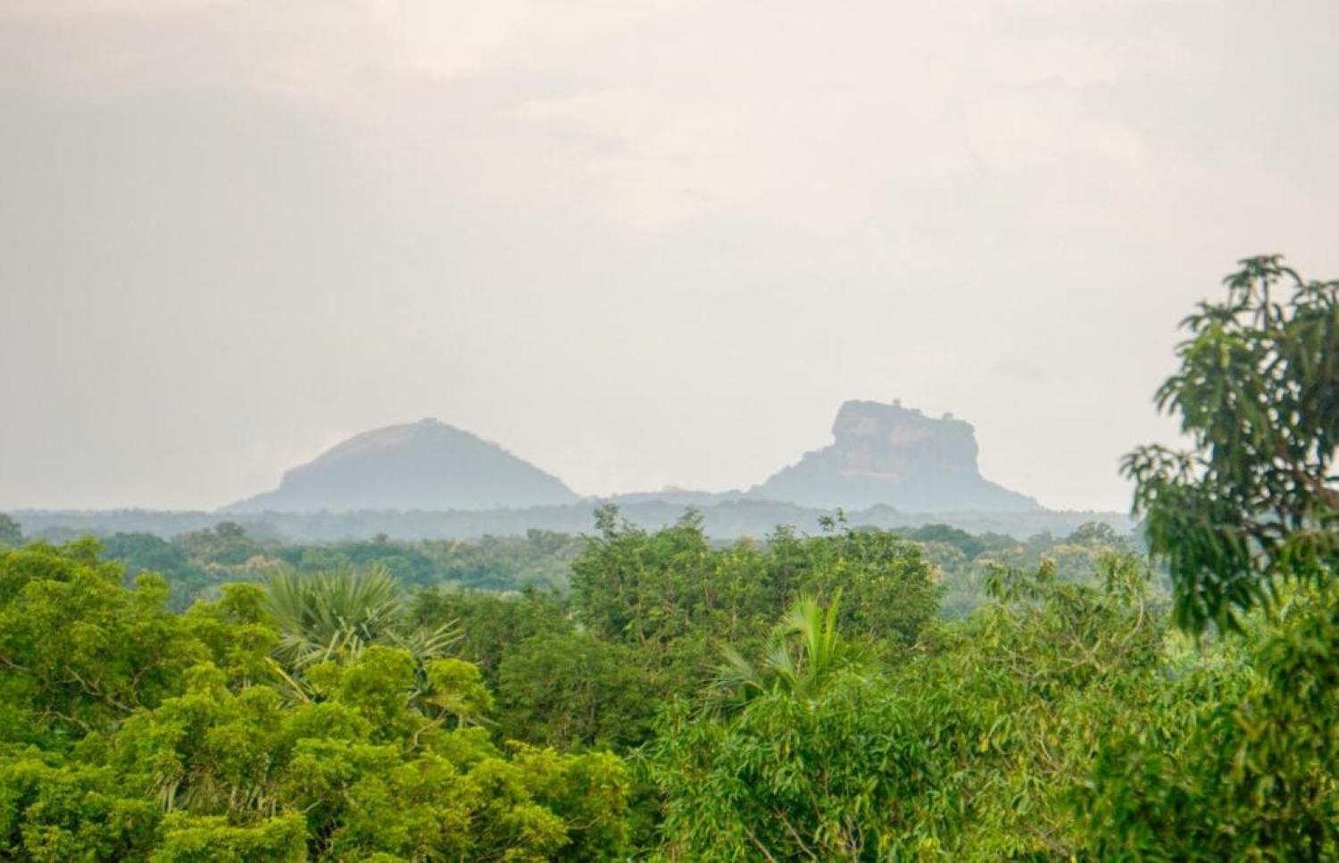 Sigiri Sandilu Homestay Sigiriya Exterior foto