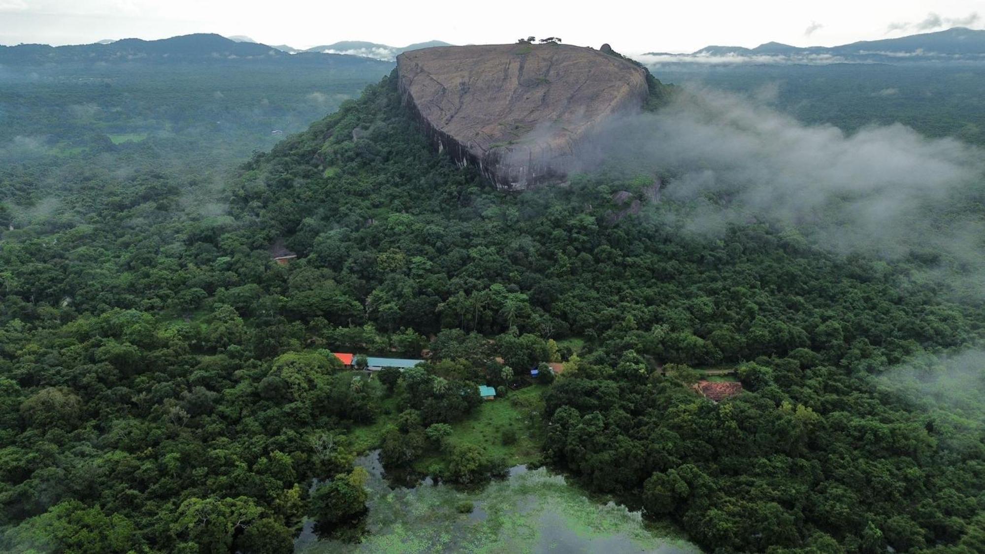 Sigiri Sandilu Homestay Sigiriya Exterior foto